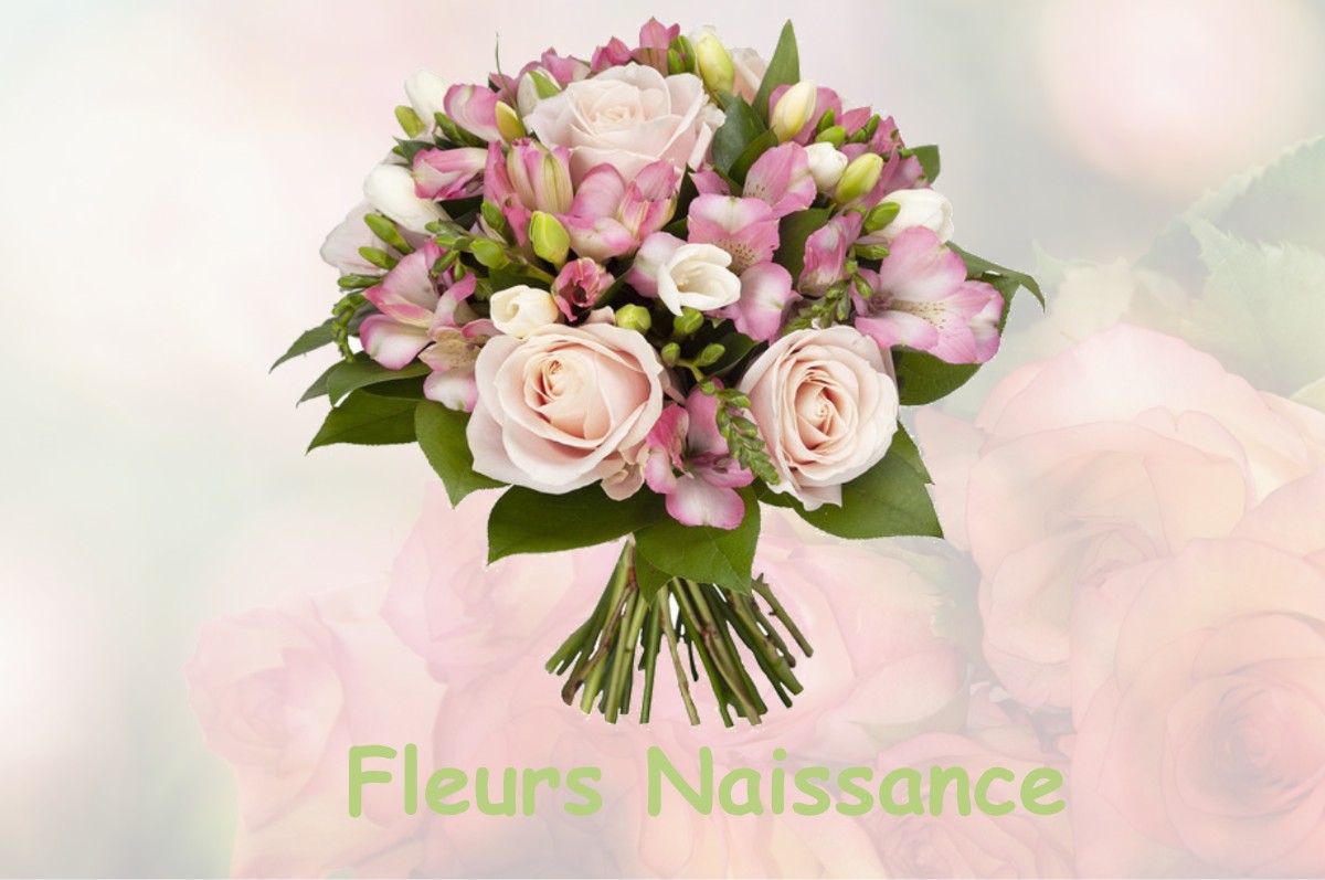 fleurs naissance VIGNIEU