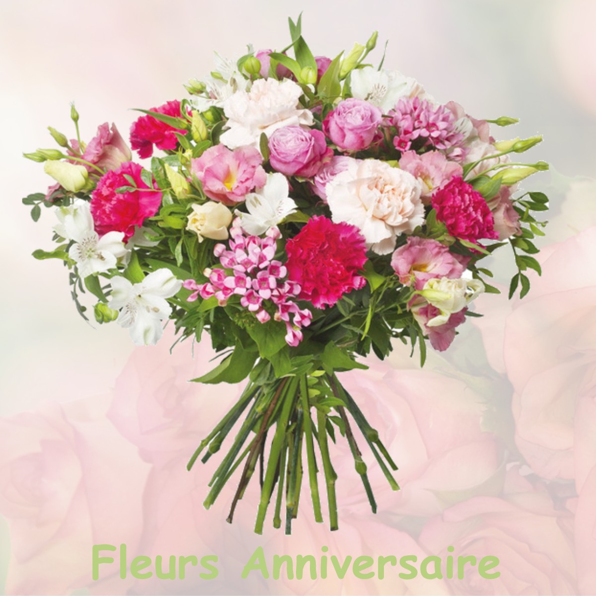 fleurs anniversaire VIGNIEU