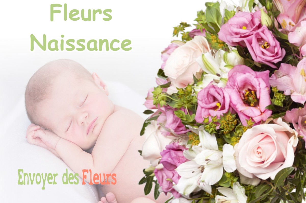 lIVRAISON FLEURS NAISSANCE à VIGNIEU